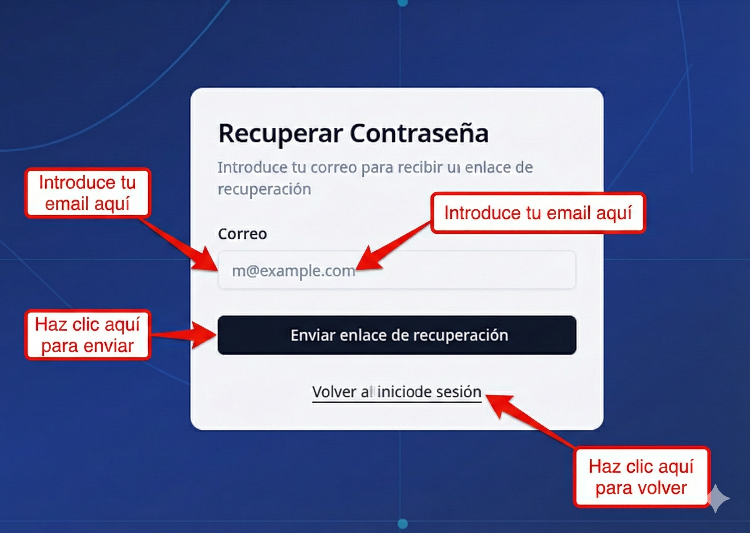 Solicitud de recuperación de contraseña